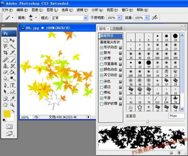 photoshop̳-ʹߵʹ