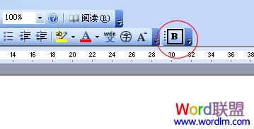 Word2003ĵĹⲿ