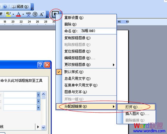 Word2003ĵĹⲿ