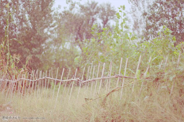 photoshopɫ̳