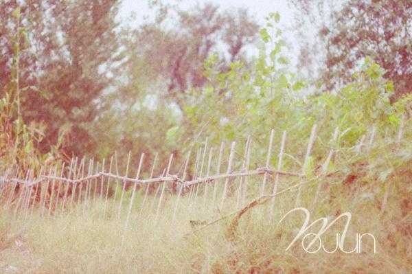 photoshopɫ̳