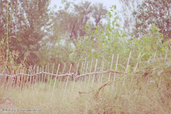 photoshopɫ̳