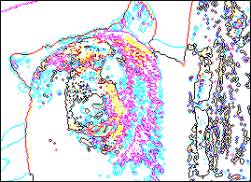 photoshop˾̳-
