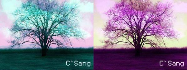 photoshopɫ̳