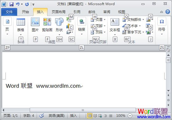 Office2010ݼ