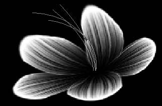 Photoshop˾̳-