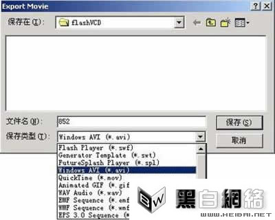 FLASH תΪ VCD