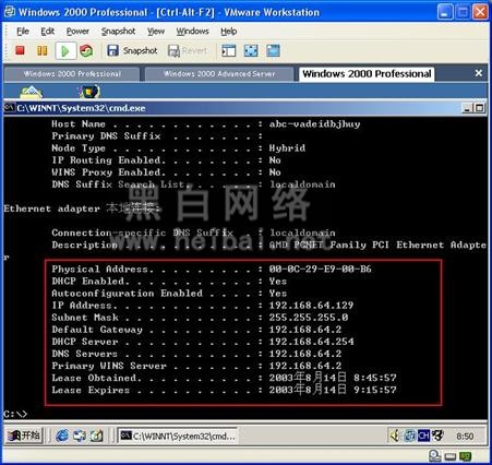 VMware workstationʹ