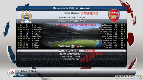 FIFA13˵淭