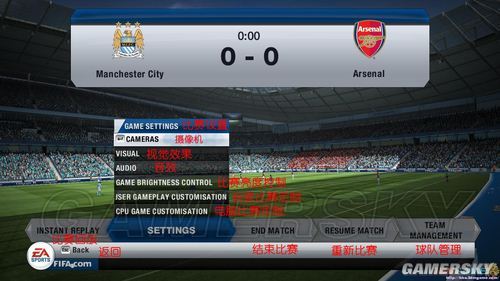 FIFA13˵淭