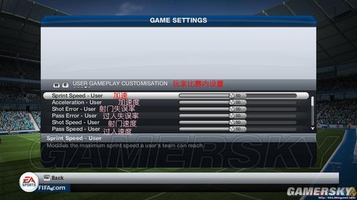 FIFA13˵淭
