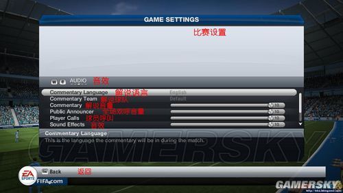 FIFA13˵淭