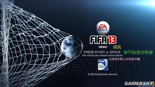 FIFA13˵淭
