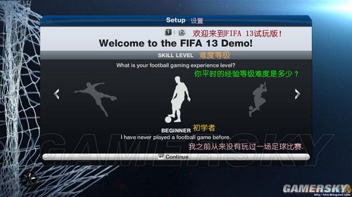 FIFA13˵淭