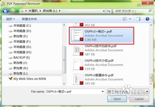 PDF Password RemoverƽPDFļ