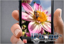 iPhone5ɺŵʹֲ