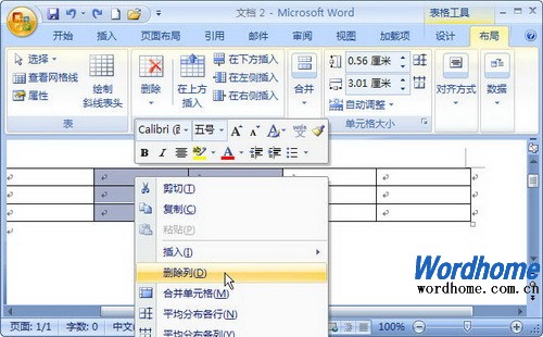 Word2007ڱɾк