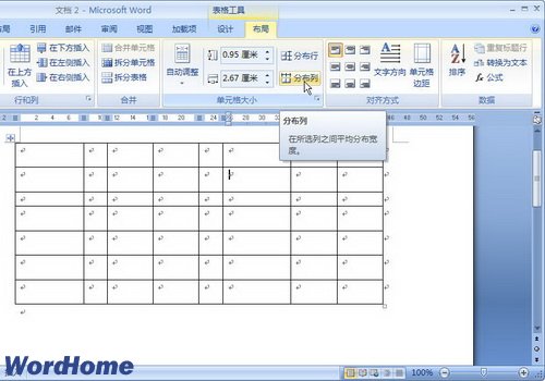 Word2007ڱƽֲк