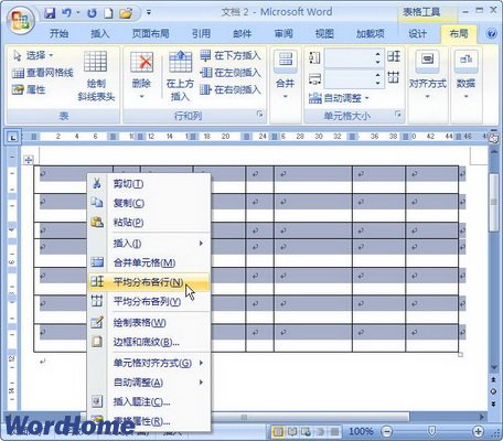 Word2007ڱƽֲк