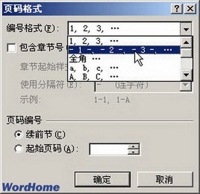 Word2007ҳʽ