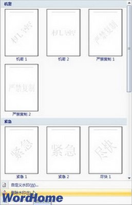 Word2007ɾˮӡ