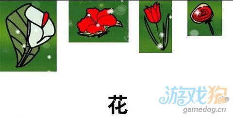 áƷ๥ԣ