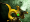 dota2ϫ·˳װӵϸ