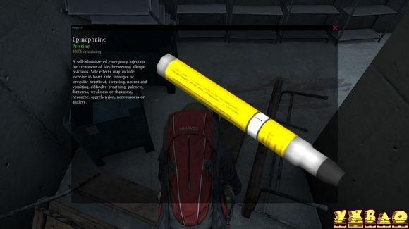 DayZϷõʹù