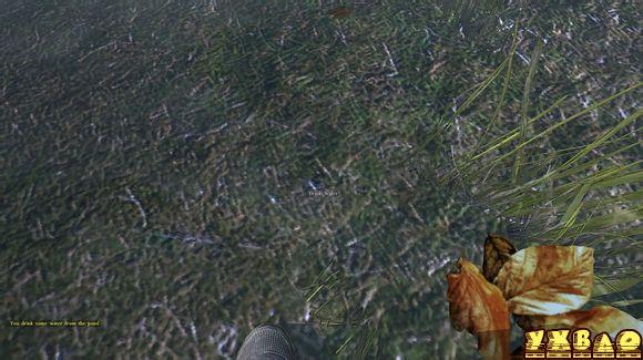 DayZϷõʹù