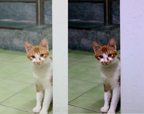 PhotoshopοٸƵӰɫ