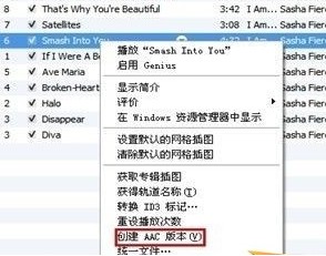 iPhone5SҪôԶ