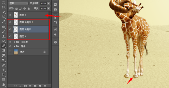 用Photoshop制作扭脖子的长颈鹿