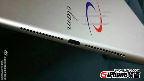 iPad mini3òãΣ