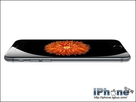 iPhone6̳