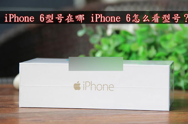iPhone 6ֻͺô?