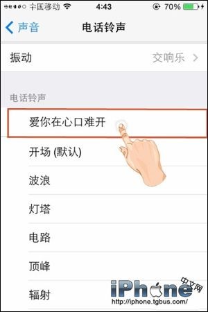 iPhone