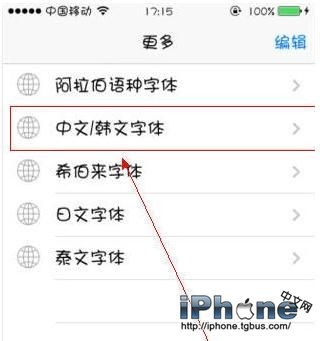 iPhone6 Plus޸ϸ̳