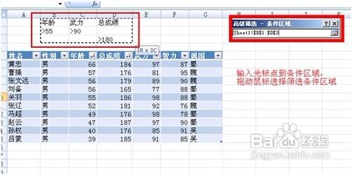 Excel2007߼ɸѡô