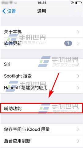 苹果iPhone6S切换控制设置方法