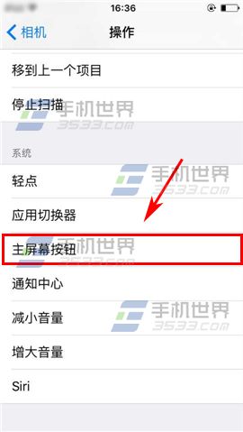 苹果iPhone6S切换控制设置方法