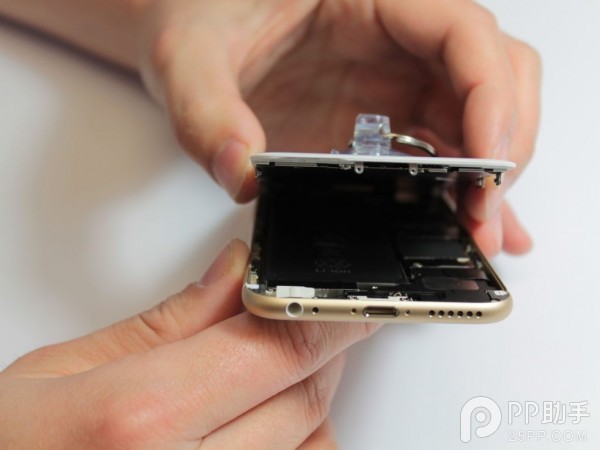 iPhone 6 ʾŹʲô