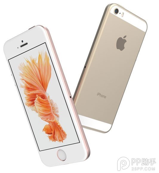 iPhone5seôiPhone5seöԱiPhone6
