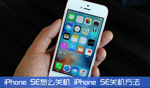 iPhone SEôػ