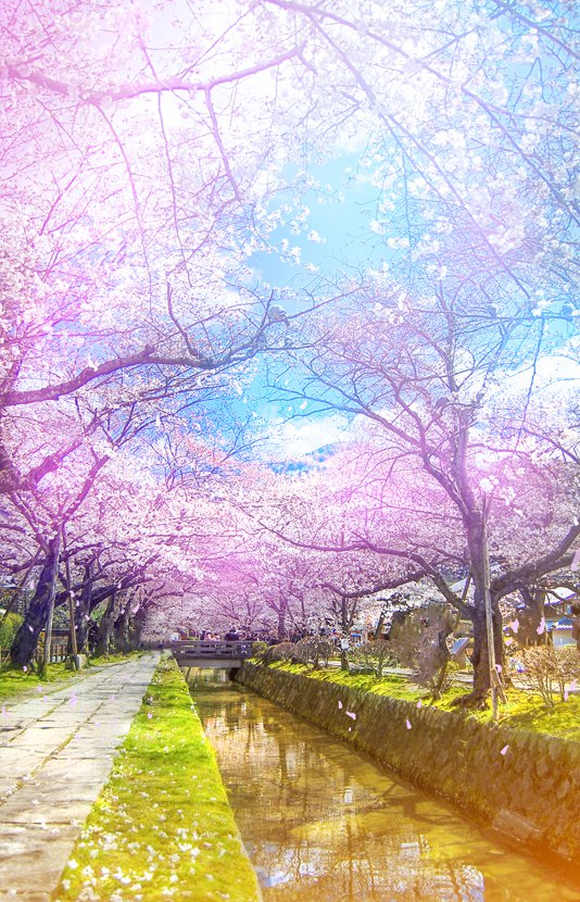 Photoshopôѷ羰ͼƬתΪλ