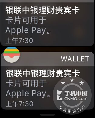 Apple WatchApple Payʹý̴̳󹫿