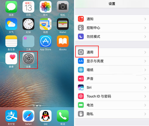 iPhone7ôָ   