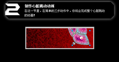 ѧһѧŶFireworksgif̳