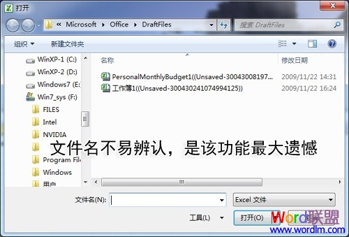 Excel2010Զ桱͡Զݡ ֪