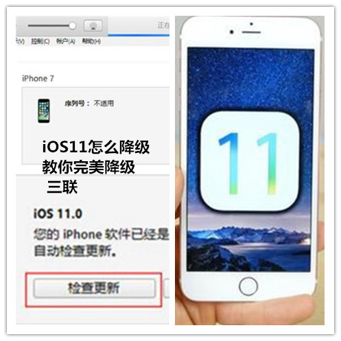 iOS11ô÷